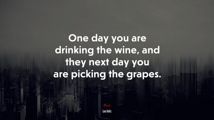 One day you are drinking the wine, and they next day you are picking the grapes. | Lou Holtz quote