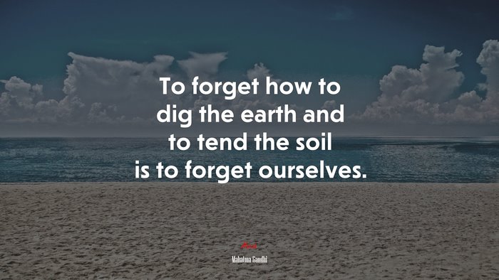 To forget how to dig the earth and to tend the soil is to forget ourselves. | Mahatma Gandhi quote