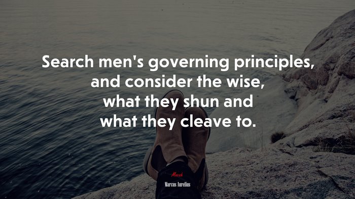 Search men’s governing principles, and consider the wise, what they shun and what they cleave to. | Marcus Aurelius quote