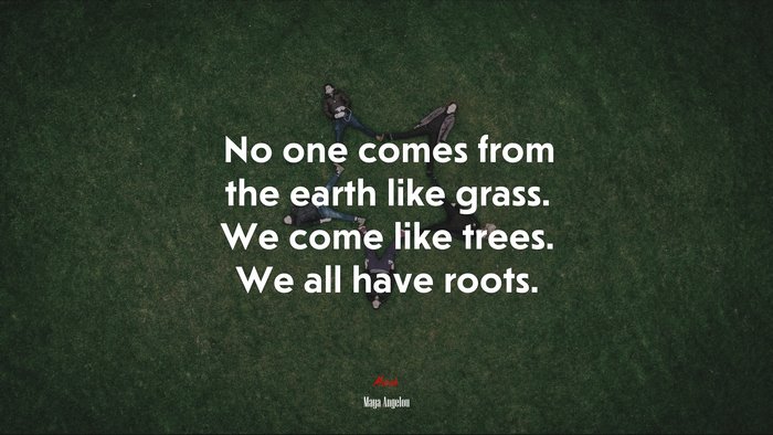 No one comes from the earth like grass. We come like trees. We all have roots. | Maya Angelou quote