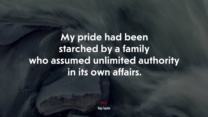 My pride had been starched by a family who assumed unlimited authority in its own affairs. | Maya Angelou quote