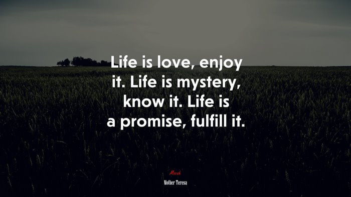 Life is love, enjoy it. Life is mystery, know it. Life is a promise, fulfill it. | Mother Teresa quote