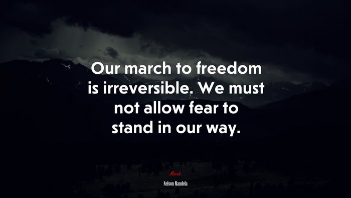 Our march to freedom is irreversible. We must not allow fear to stand in our way. | Nelson Mandela quote