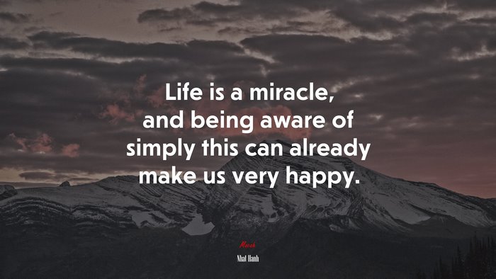 Life is a miracle, and being aware of simply this can already make us very happy. | Nhat Hanh quote