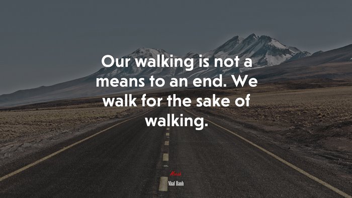 Our walking is not a means to an end. We walk for the sake of walking. | Nhat Hanh quote