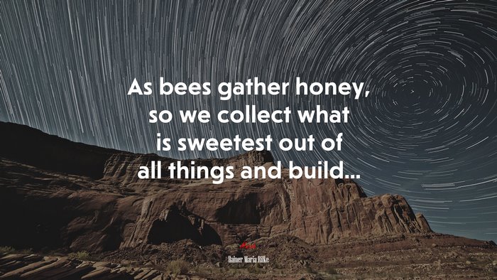 As bees gather honey, so we collect what is sweetest out of all things and build... | Rainer Maria Rilke quote
