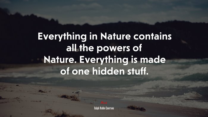 Everything in Nature contains all the powers of Nature. Everything is made of one hidden stuff. | Ralph Waldo Emerson quote