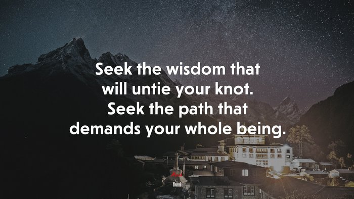 Seek the wisdom that will untie your knot. Seek the path that demands your whole being. | Rumi quote