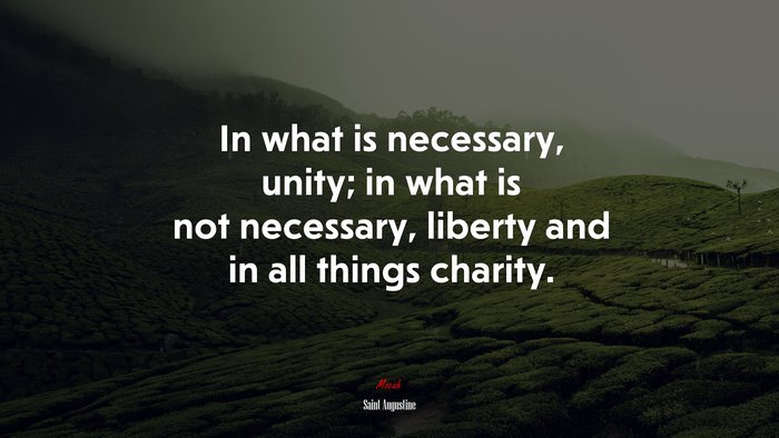 In what is necessary, unity; in what is not necessary, liberty and in all things charity. | Saint Augustine quote