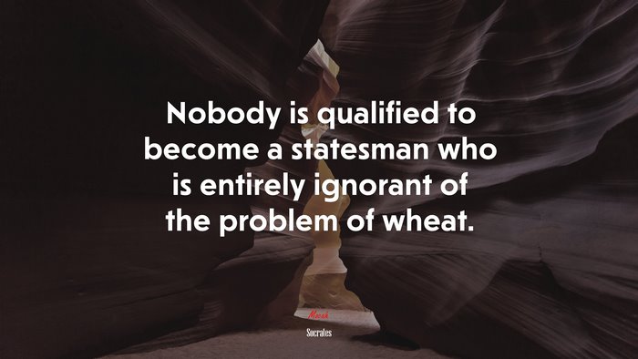 Nobody is qualified to become a statesman who is entirely ignorant of the problem of wheat. | Socrates quote