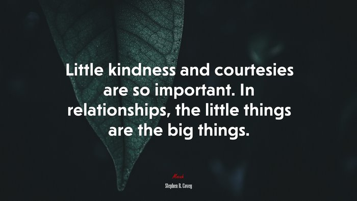 Little kindness and courtesies are so important. In relationships, the little things are the big things. | Stephen R. Covey quote