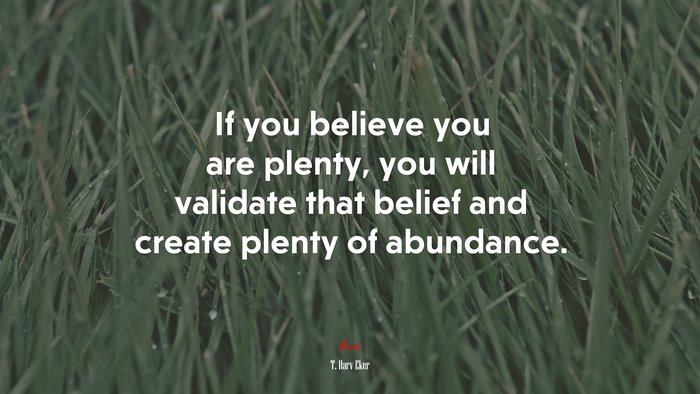 If you believe you are plenty, you will validate that belief and create plenty of abundance. | T. Harv Eker quote