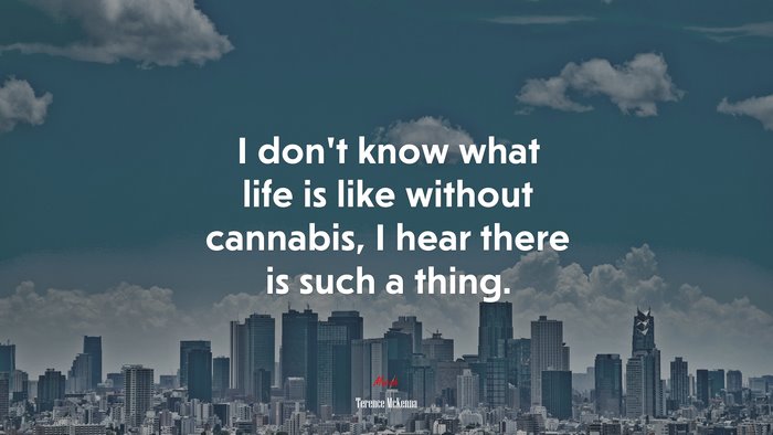I don’t know what life is like without cannabis, I hear there is such a thing. | Terence McKenna quote
