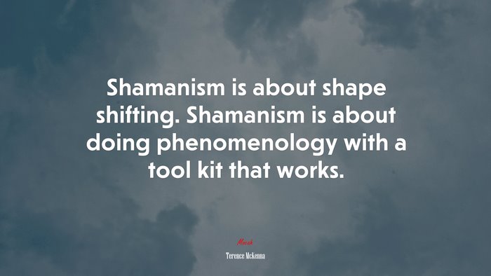 Shamanism is about shape shifting. Shamanism is about doing phenomenology with a tool kit that works. | Terence McKenna quote