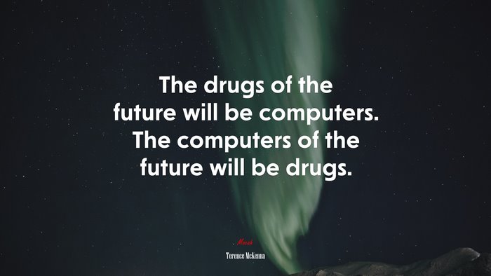 The drugs of the future will be computers. The computers of the future will be drugs. | Terence McKenna quote