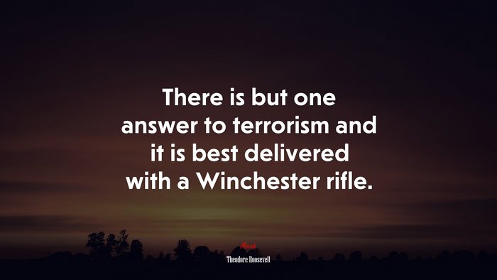 There is but one answer to terrorism and it is best delivered with a Winchester rifle. | Theodore Roosevelt quote