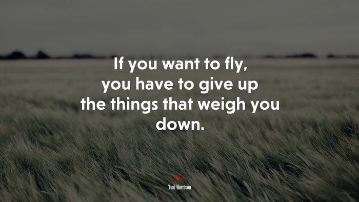 If You Want To Fly You Have To Give Up The Things That Weigh You Down Toni Morrison Quote