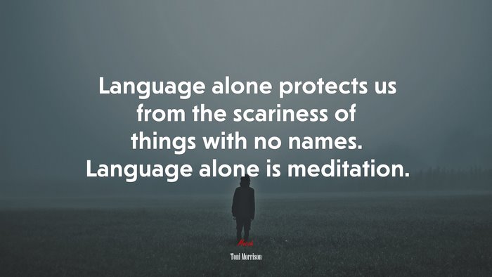 Language alone protects us from the scariness of things with no names. Language alone is meditation. | Toni Morrison quote
