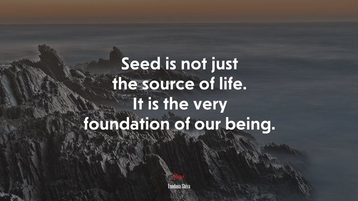 Seed is not just the source of life. It is the very foundation of our being. | Vandana Shiva quote