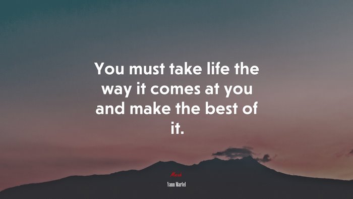 You must take life the way it comes at you and make the best of it. | Yann Martel quote
