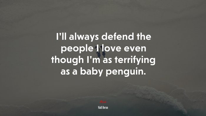 I’ll always defend the people I love even though I’m as terrifying as a baby penguin. | Niall Horan quote