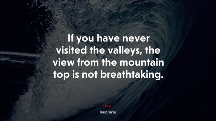 If you have never visited the valleys, the view from the mountain top is not breathtaking. | Robin S. Sharma quote