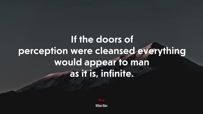 If the doors of perception were cleansed everything would appear to man as it is, infinite. | William Blake quote