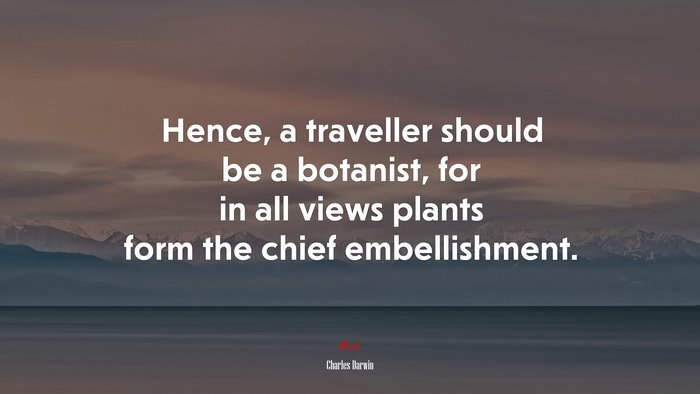 Hence, a traveller should be a botanist, for in all views plants form the chief embellishment. | Charles Darwin quote