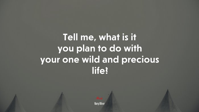 Tell me, what is it you plan to do with your one wild and precious life? | Mary Oliver quote