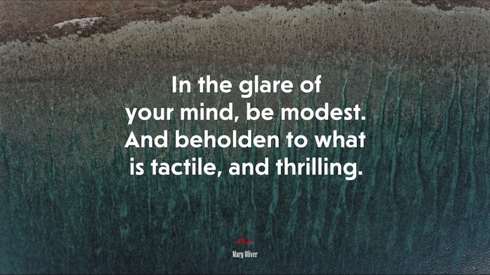 In the glare of your mind, be modest. And beholden to what is tactile, and thrilling. | Mary Oliver quote