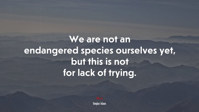 We are not an endangered species ourselves yet, but this is not for lack of trying. | Douglas Adams quote