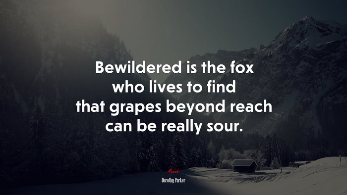 Bewildered is the fox who lives to find that grapes beyond reach can be really sour. | Dorothy Parker quote