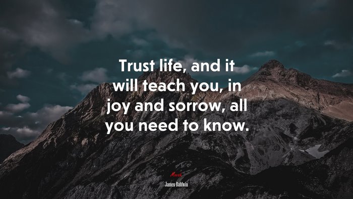 Trust life, and it will teach you, in joy and sorrow, all you need to know. | James Baldwin quote