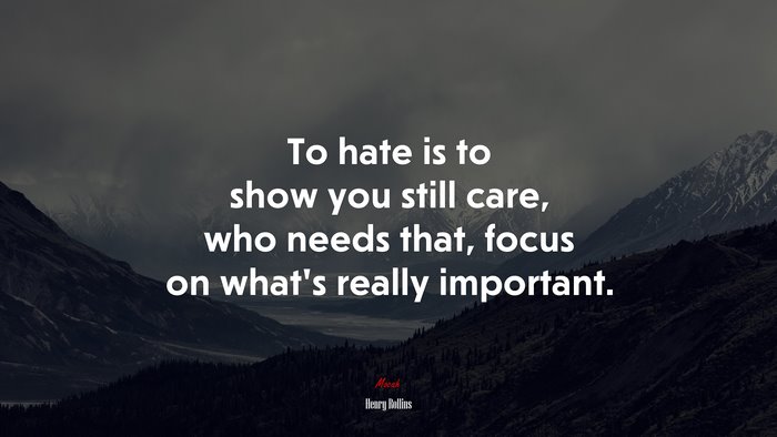 To hate is to show you still care, who needs that, focus on what’s really important. | Henry Rollins quote