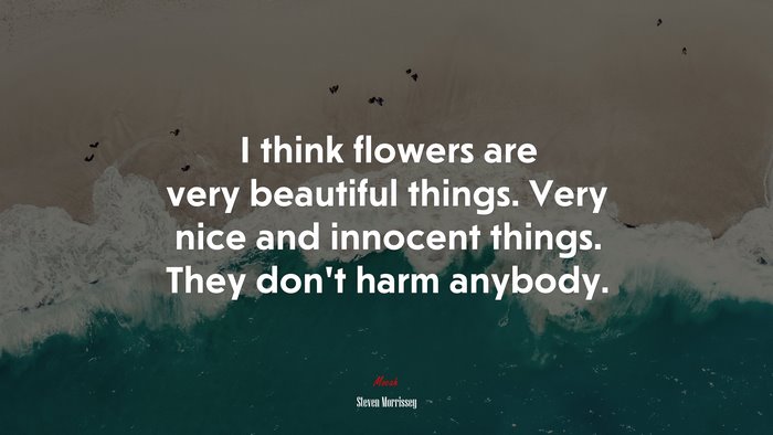 I think flowers are very beautiful things. Very nice and innocent things. They don’t harm anybody. | Steven Morrissey quote