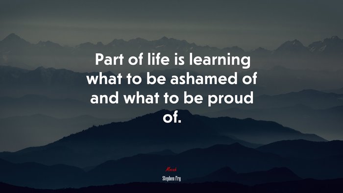 Part of life is learning what to be ashamed of and what to be proud of. | Stephen Fry quote