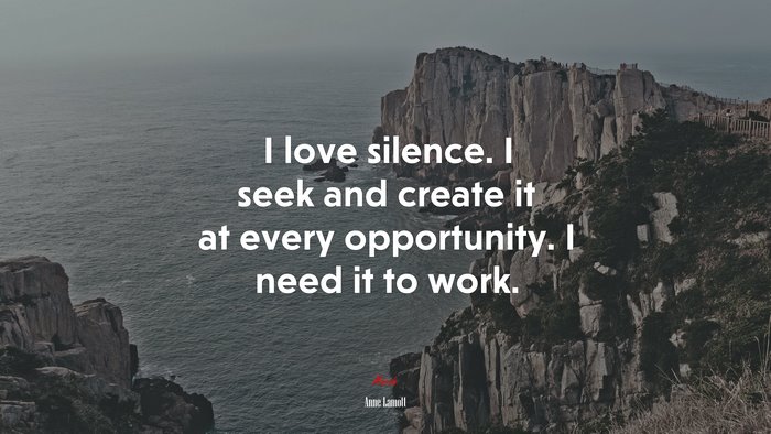 I love silence. I seek and create it at every opportunity. I need it to work. | Anne Lamott quote