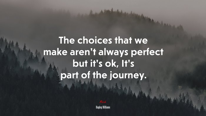 The choices that we make aren’t always perfect but it’s ok, It’s part of the journey. | Hayley Williams quote