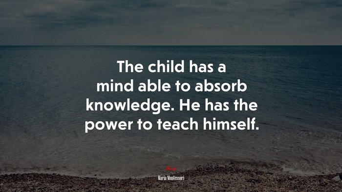 The child has a mind able to absorb knowledge. He has the power to teach himself. | Maria Montessori quote