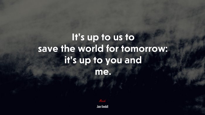 It’s up to us to save the world for tomorrow: it’s up to you and me. | Jane Goodall quote