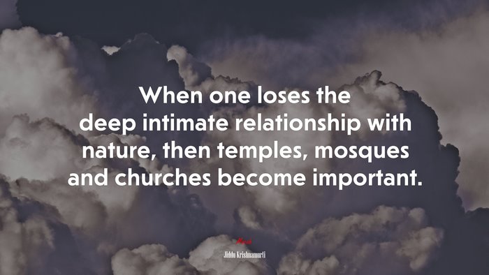 When one loses the deep intimate relationship with nature, then temples, mosques and churches become important. | Jiddu Krishnamurti quote