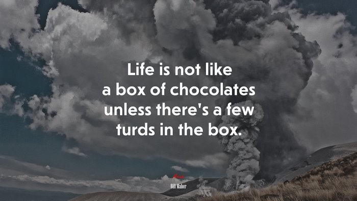 Life is not like a box of chocolates unless there’s a few turds in the box. | Bill Maher quote