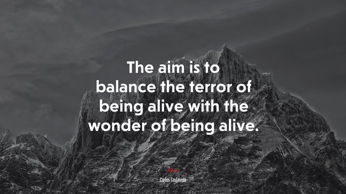 The aim is to balance the terror of being alive with the wonder of being alive. | Carlos Castaneda quote