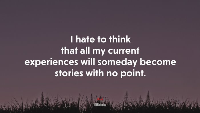 I hate to think that all my current experiences will someday become stories with no point. | Bill Watterson quote