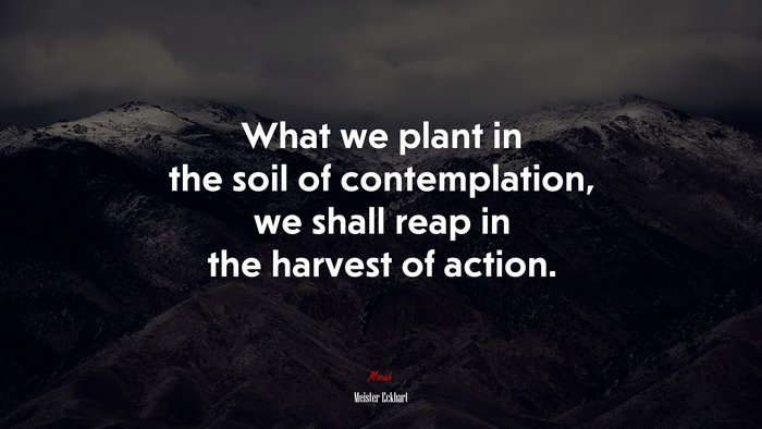 What we plant in the soil of contemplation, we shall reap in the harvest of action. | Meister Eckhart quote