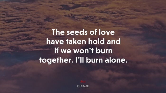 The seeds of love have taken hold and if we won’t burn together, I’ll burn alone. | Bret Easton Ellis quote