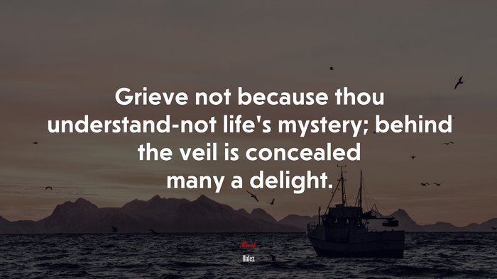 Grieve not because thou understand-not life’s mystery; behind the veil is concealed many a delight. | Hafez quote