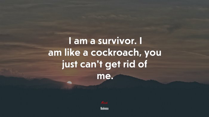 I am a survivor. I am like a cockroach, you just can’t get rid of me. | Madonna quote