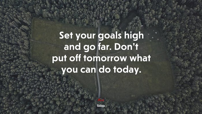 Set your goals high and go far. Don’t put off tomorrow what you can do today. | Madonna quote