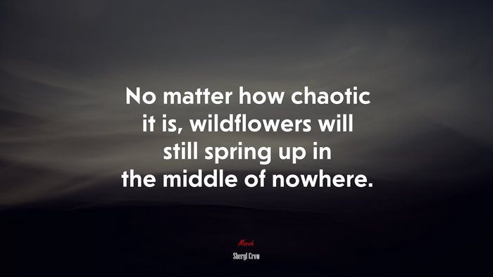 No matter how chaotic it is, wildflowers will still spring up in the middle of nowhere. | Sheryl Crow quote